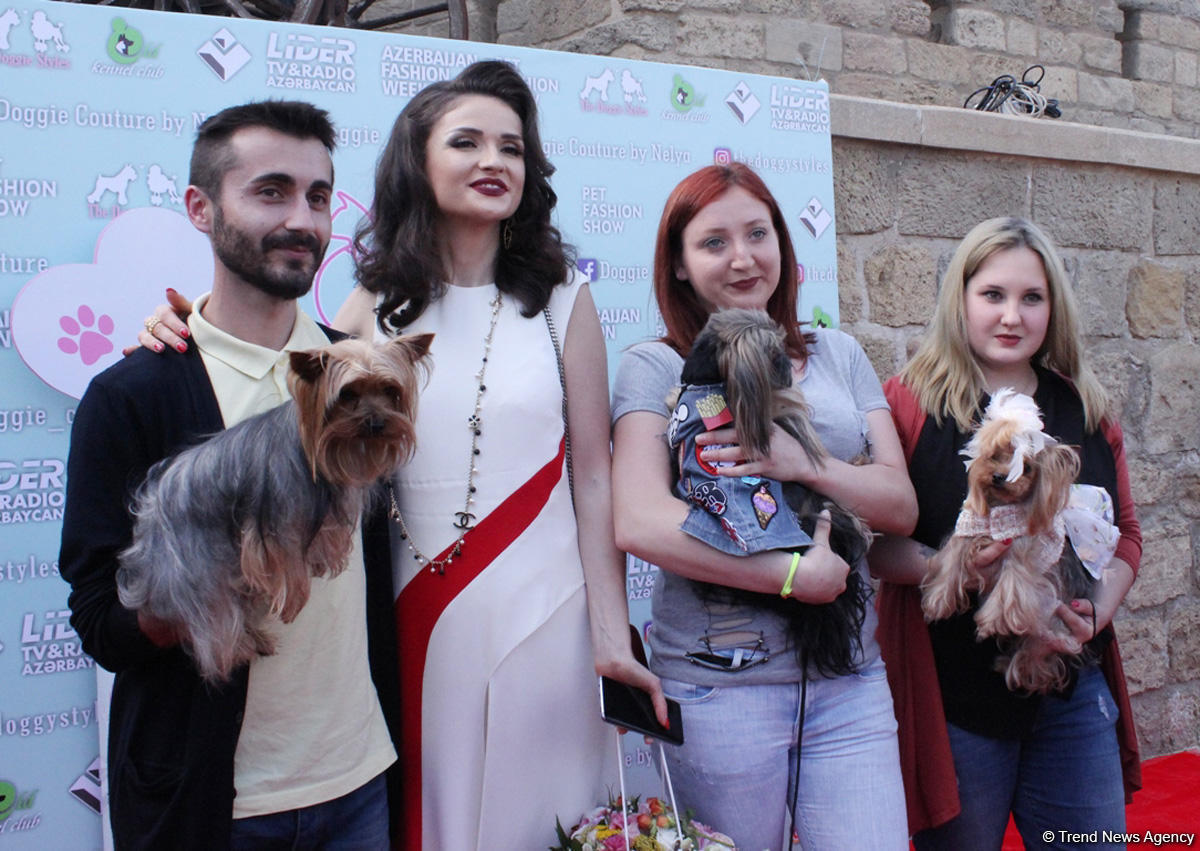Baku hosts Pet Fashion Show [PHOTO]