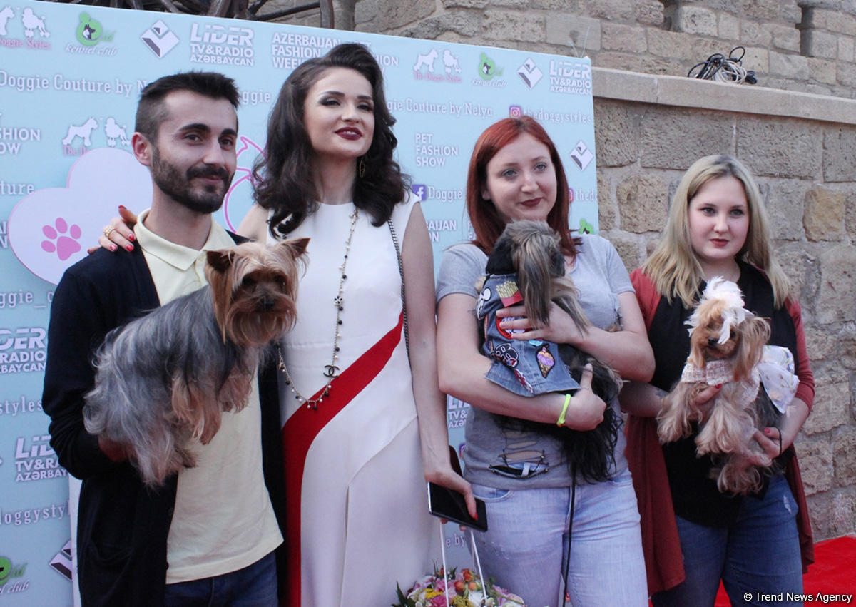 Baku hosts Pet Fashion Show [PHOTO]