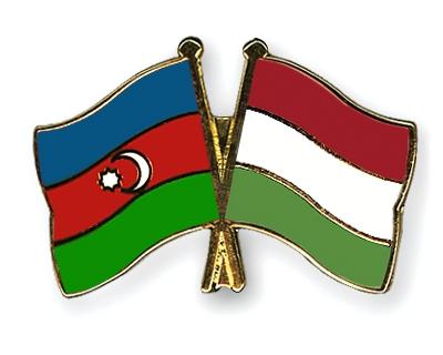 Azerbaijan, Hungary intend to develop economic interaction