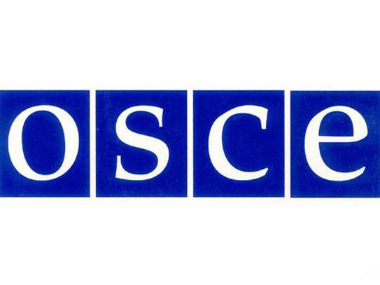 OSCE consulting Turkmenistan in mass media sphere