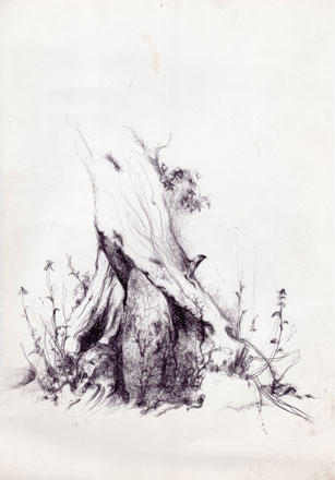 Slider Image 1