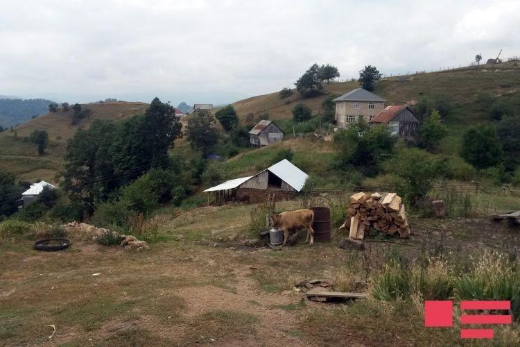 Armenians shell village in Tovuz region, damage houses [PHOTO]