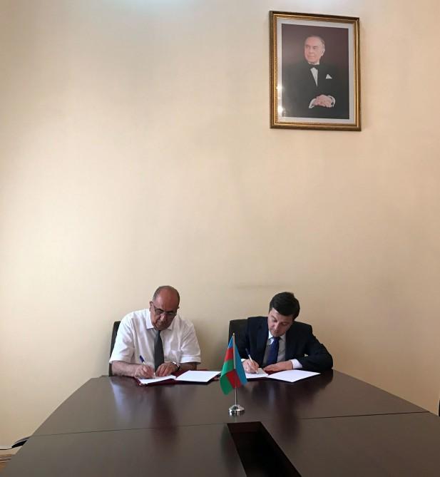 SOCAR Methanol, Institute of Petrochemical Processes ink MOU