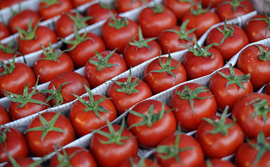 Russian ban on Turkish tomato remains in place