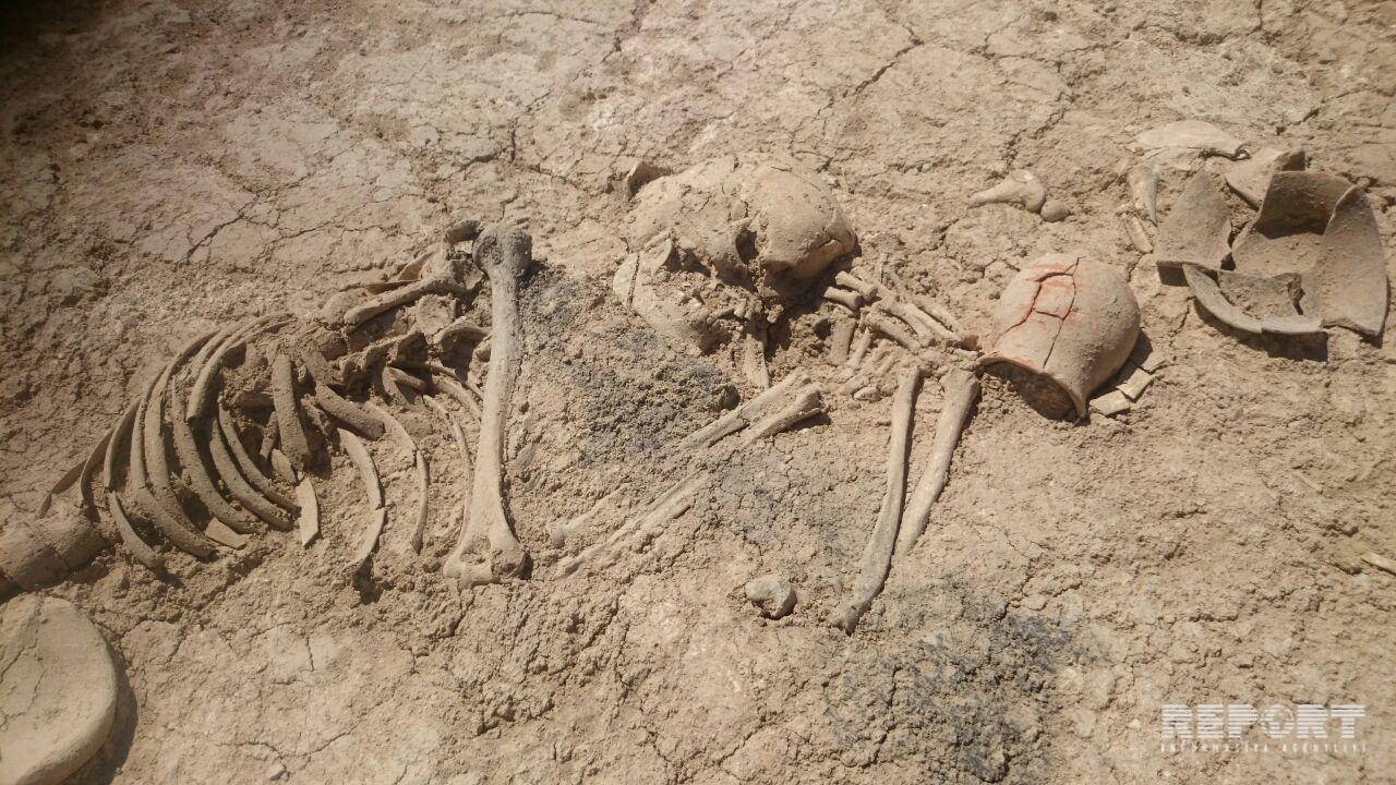 Ancient cemetery found in Lerik [PHOTO]