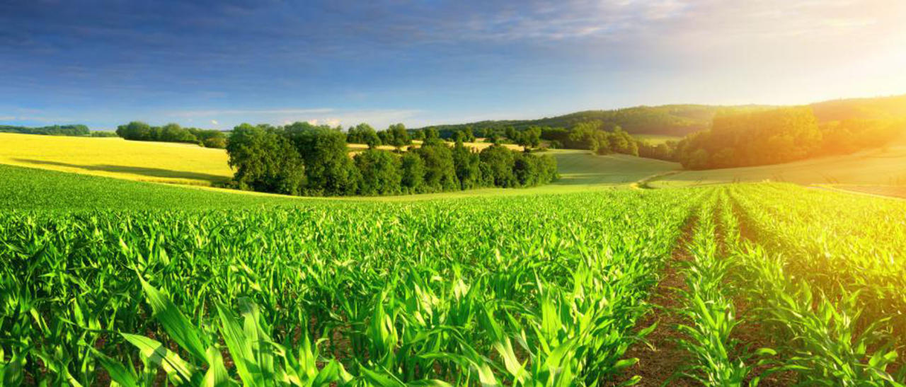 Country to expand green market network