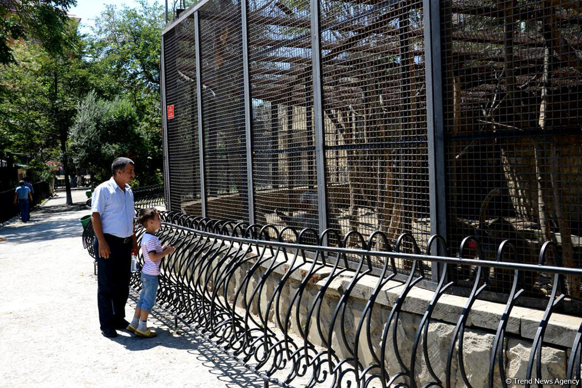 Visit Baku Zoo for wild and exciting experience [PHOTO] - Gallery Image