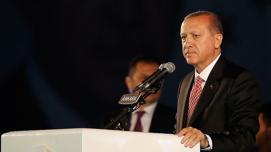 Home politics leads criticism of Turkey, Erdogan says