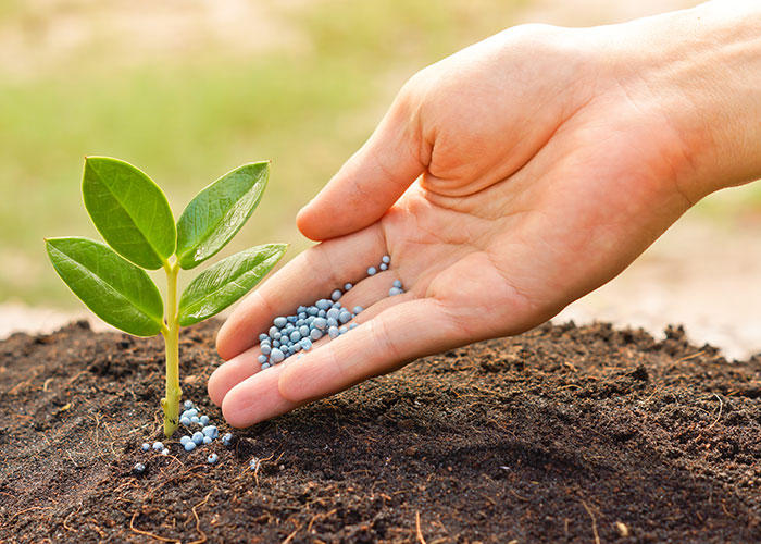 Organic fertilizer plant to appear in Azerbaijan