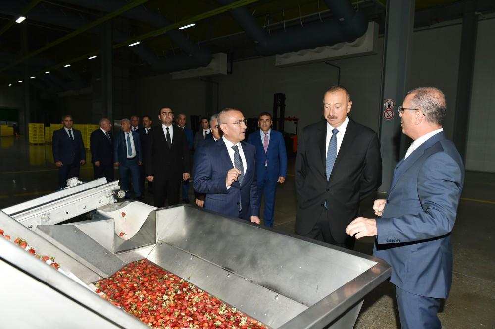 President Ilham Aliyev attends inauguration of Logistics Center of Shamkir Agropark [PHOTO]