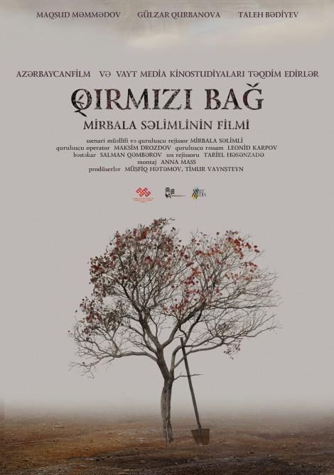Azerbaijani movies to be shown in Turkey [PHOTO]