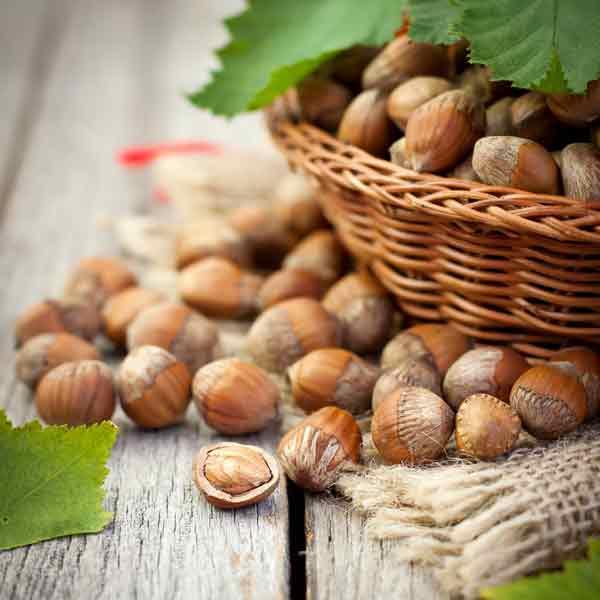 Hazelnut exports increase markedly