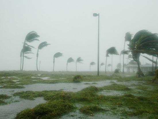 Eight dead at Florida nursing home after Irma