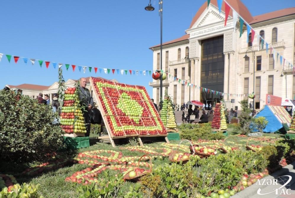 Colorful apple and carpet festival in Guba [PHOTO]