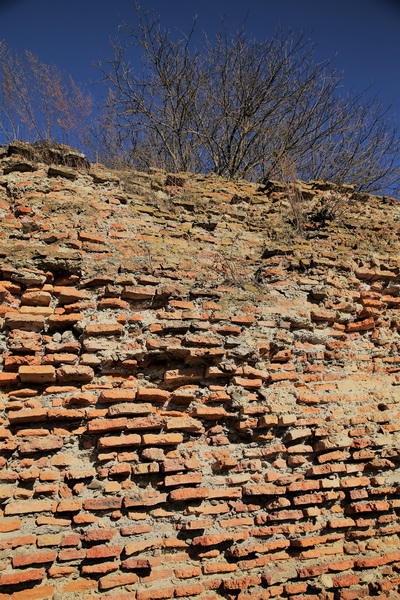 Slider Image 1