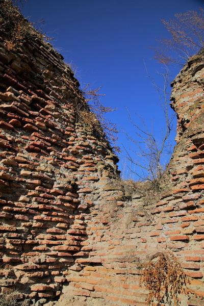 Slider Image 1