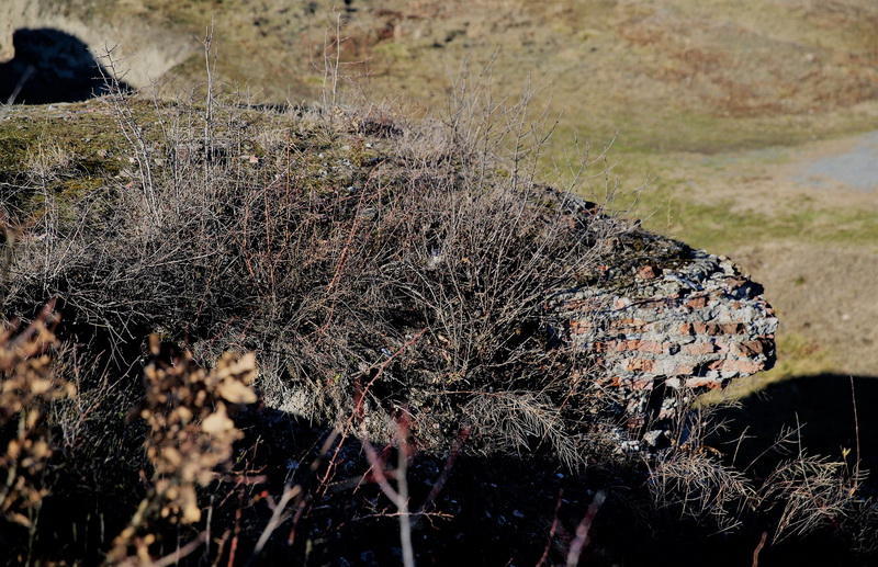 Slider Image 1