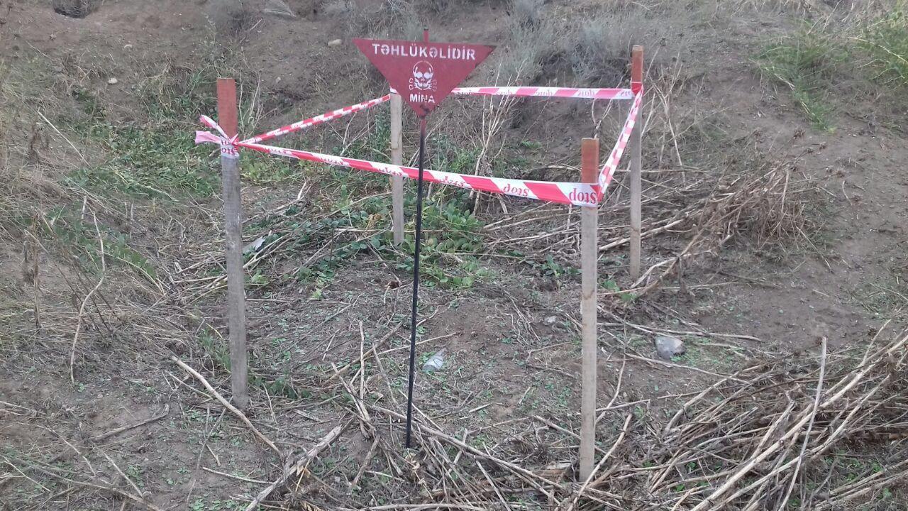 Unexploded shells discovered in Fuzuli region [PHOTO]