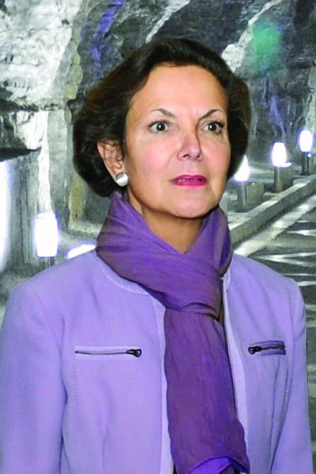 French ambassador hails hospitality of people in Nakhchivan