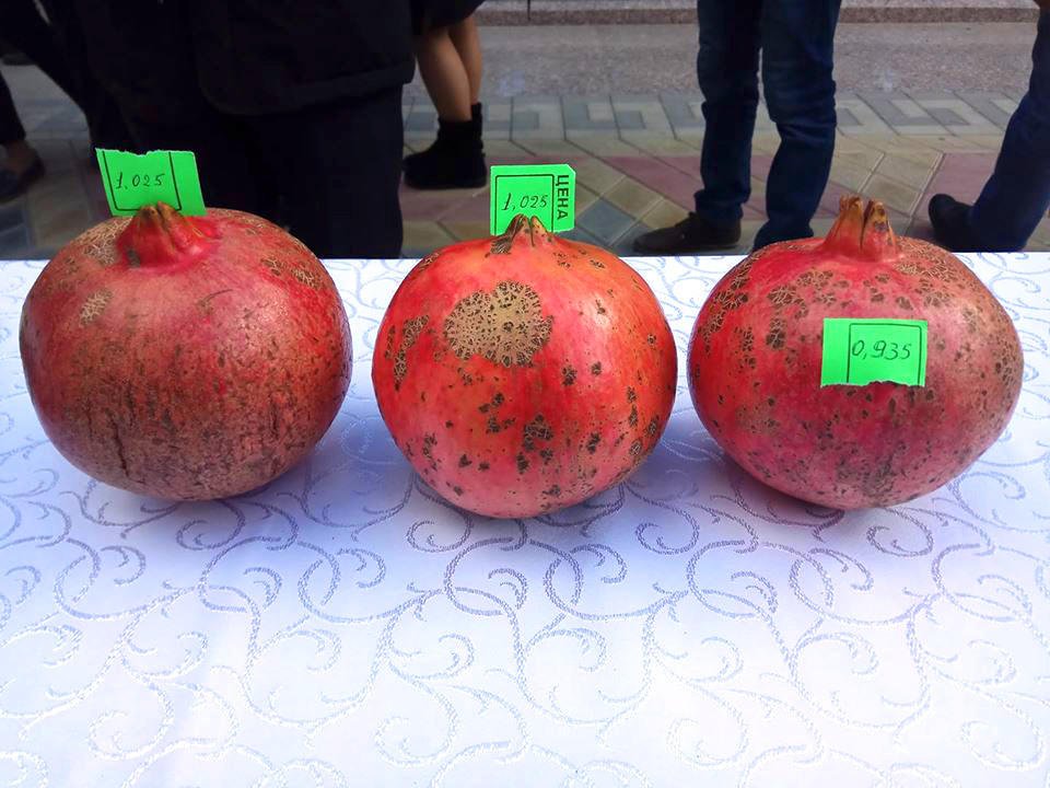 Stunning Pomegranate Festival taking place in Goychay [PHOTO] - Gallery Image