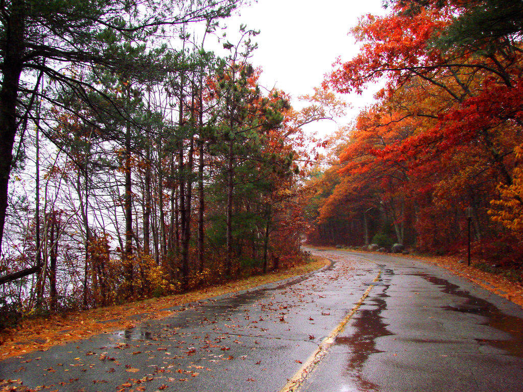 Ecologists predict unstable weather