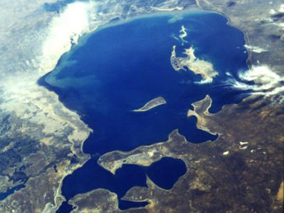 Turkmenistan creating buffer forest zone near Aral Sea