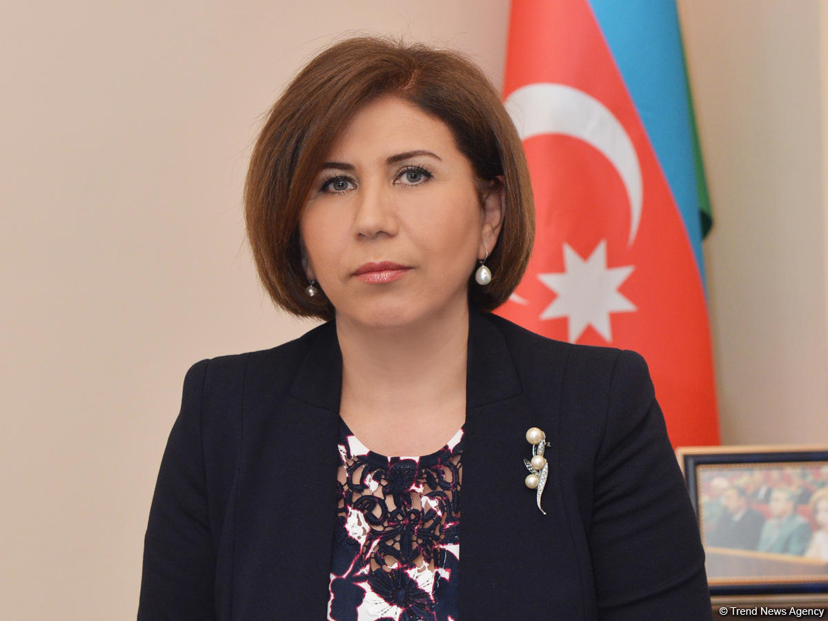 Azerbaijani Parliament’s vice speaker on draft law on prevention of int’l crimes