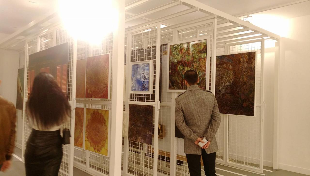 Domestic Alien expo opens in Baku [PHOTO] - Gallery Image
