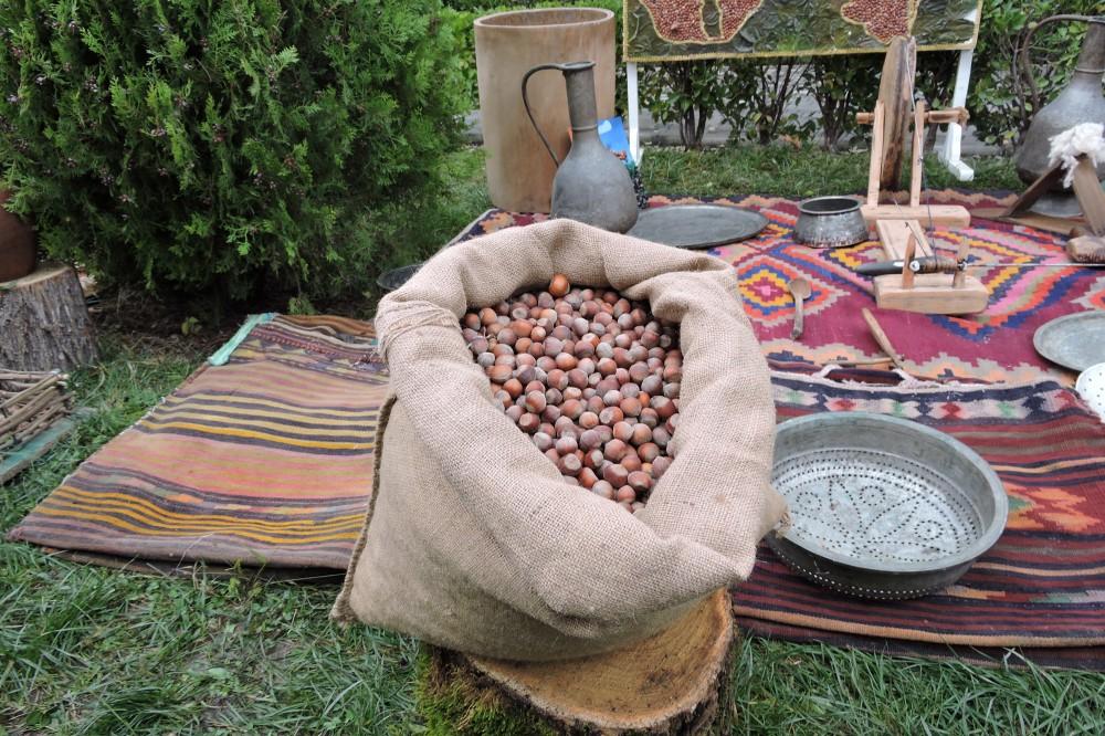 Zagatala gathers for first Hazelnut Festival