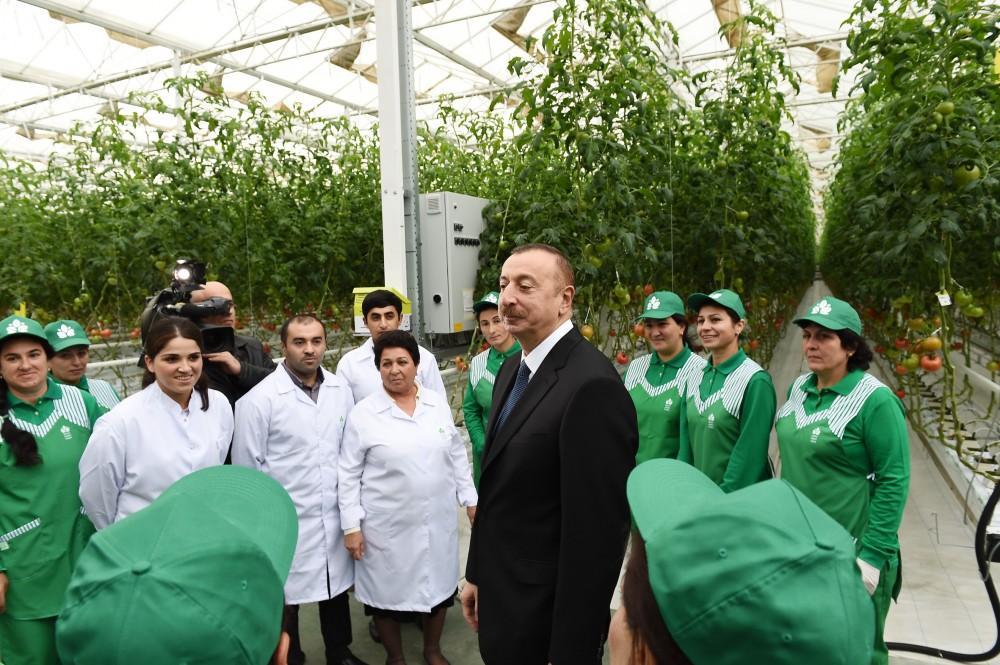 President Aliyev: Azerbaijan's export opportunities to increase considerably