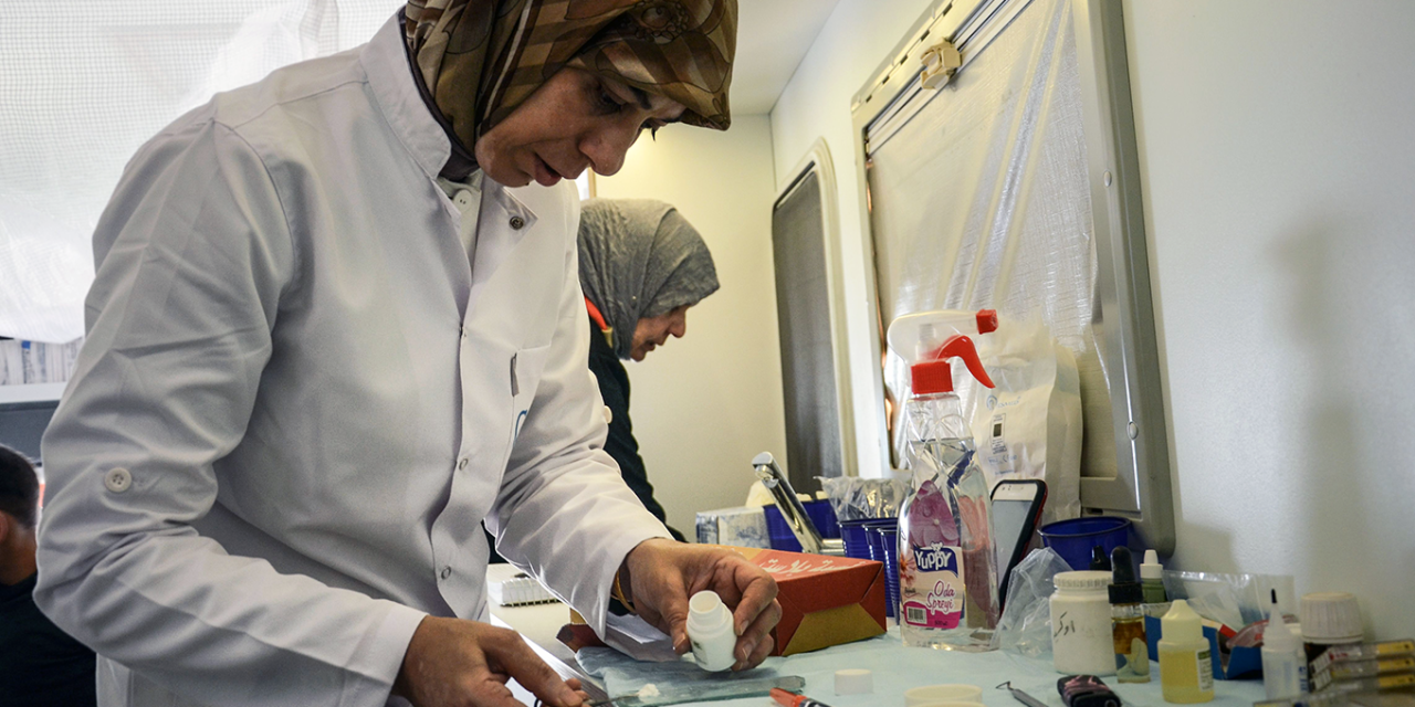Refugee doctors for refugee health