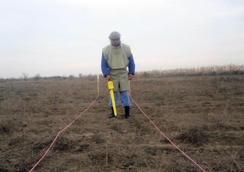 28,900 square meters cleared in Jojug Marjanli [PHOTO]