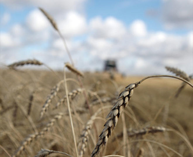 Kazakhstan to increase grain exports