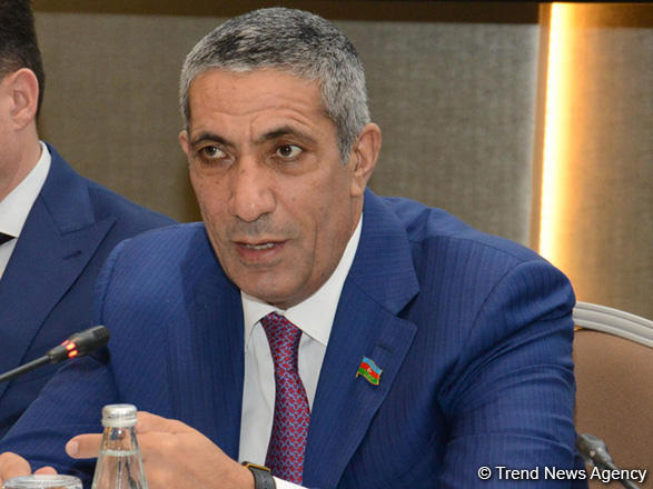MP talks on Armenia's appropriation of Azerbaijan's monuments