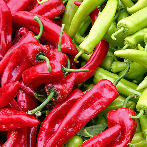 Uzbekistan’s Karakalpakstan to allocate territory for cultivating chili peppers