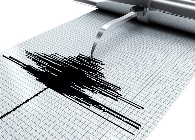 Magnitude 4,7 quake hits western Iran: EMSC
