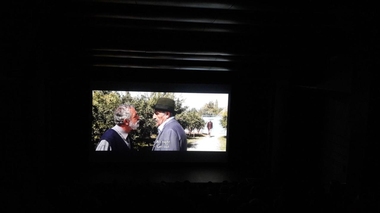 Pomegranate Orchard movie shown in Brussels [PHOTO] - Gallery Image
