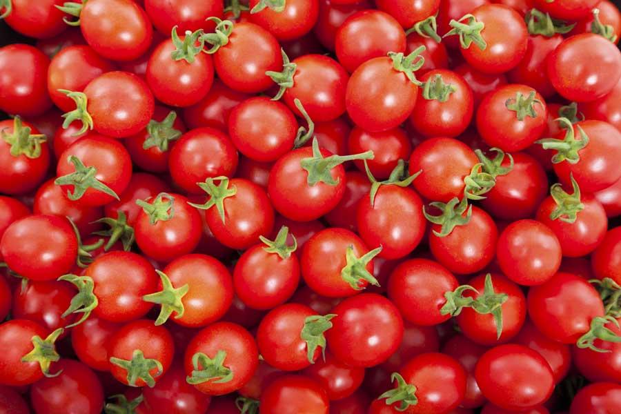 Azerbaijan main tomato supplier for Russia last year