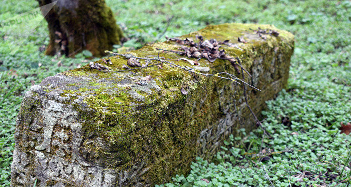 Slider Image 1