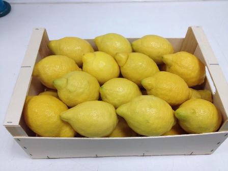 Uzbekistan to create association of lemon producers