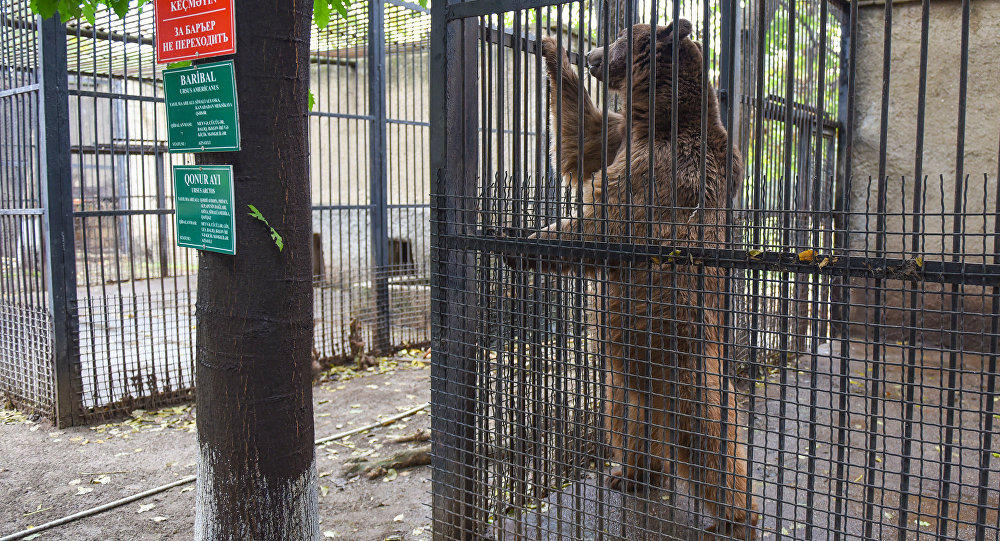 Baku Zoo undergoes reconstruction
