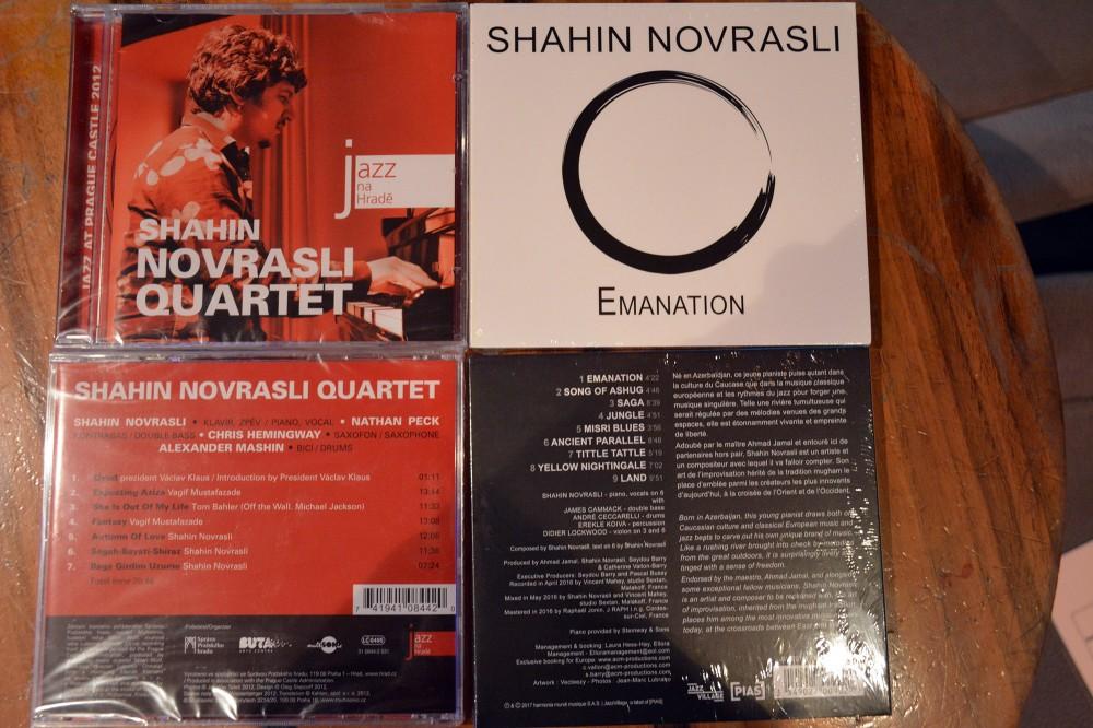 Ari hoenig thesis 06 image