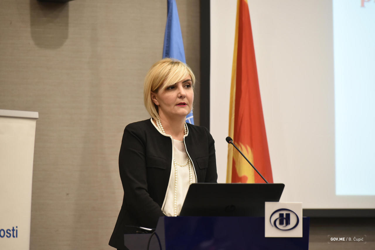 Minister: IAP - best way for Montenegro to get Azerbaijani gas