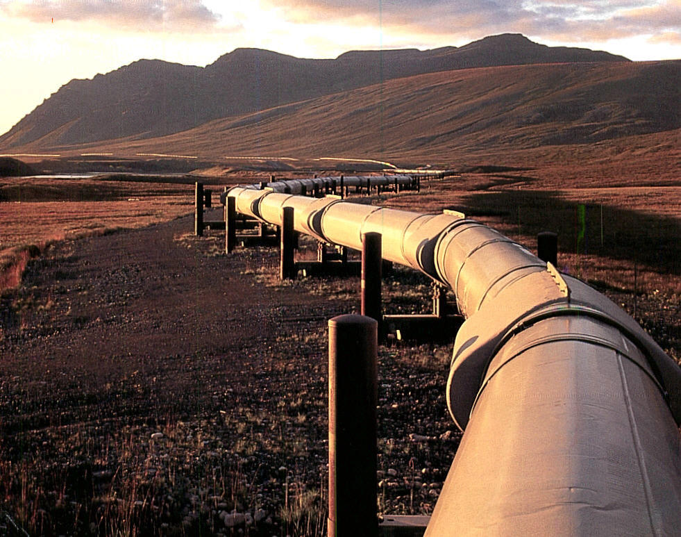 American ExxonMobil becomes shareholder of BTC oil pipe
