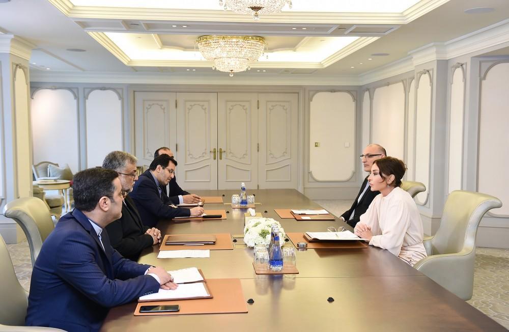 First VP Mehriban Aliyeva meets with head of Iran`s Islamic Culture and Relations Organization [PHOTO/UPDATE]