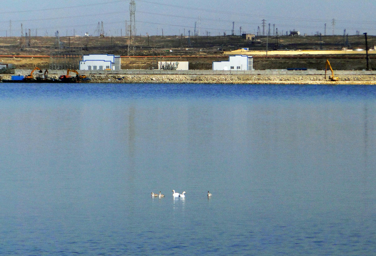 Lakes on Absheron peninsula to be restored