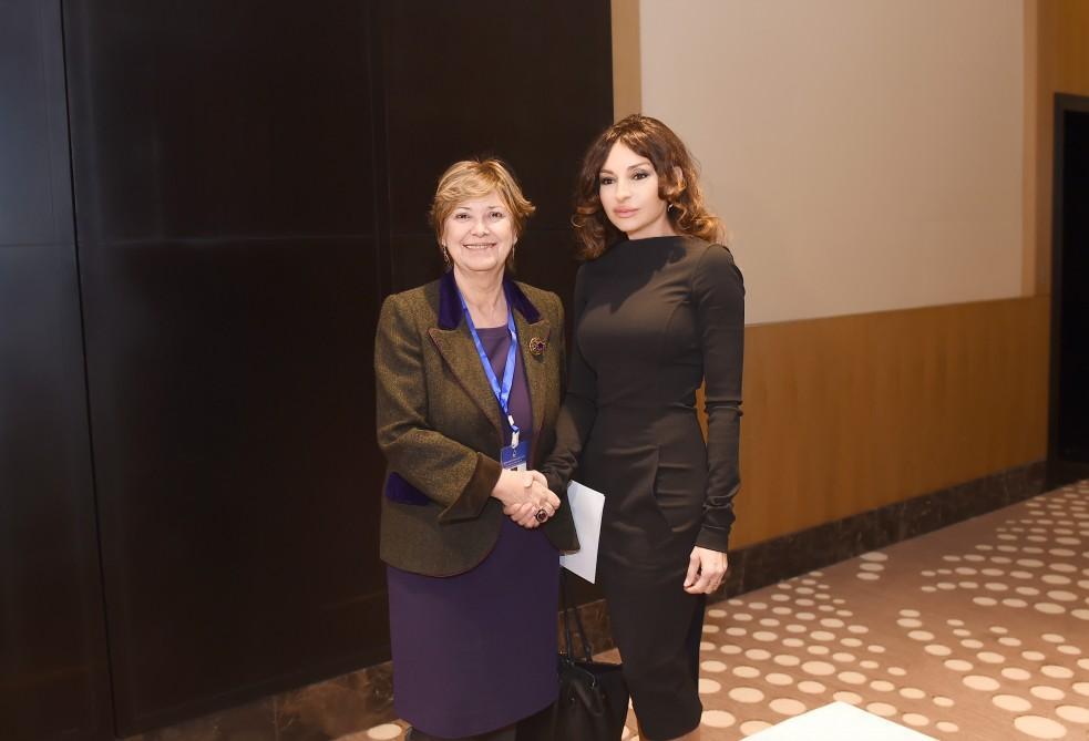 First VP Mehriban Aliyeva meets Italian Senate's VP [UPDATE]