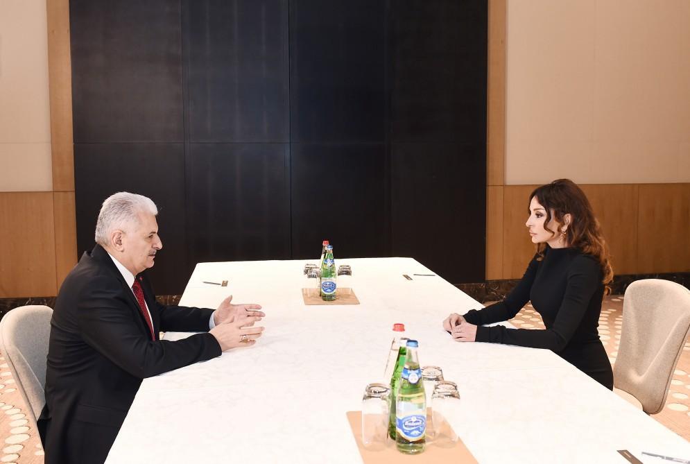 First VP Mehriban Aliyeva: Nothing can harm friendly ties between Azerbaijanis, Turks [UPDATE]