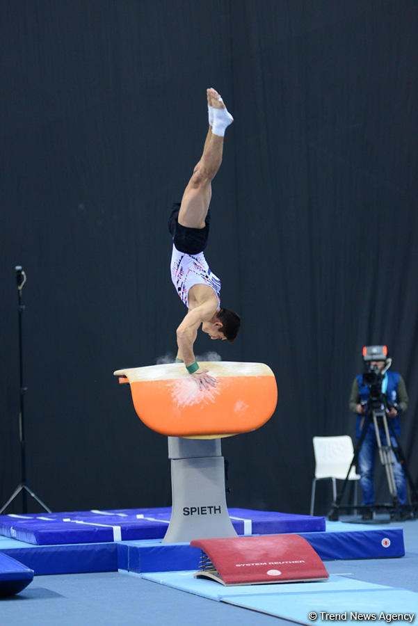 Vault finalists FIG Artistic Gymnastics World Cup 2018 in Baku revealed