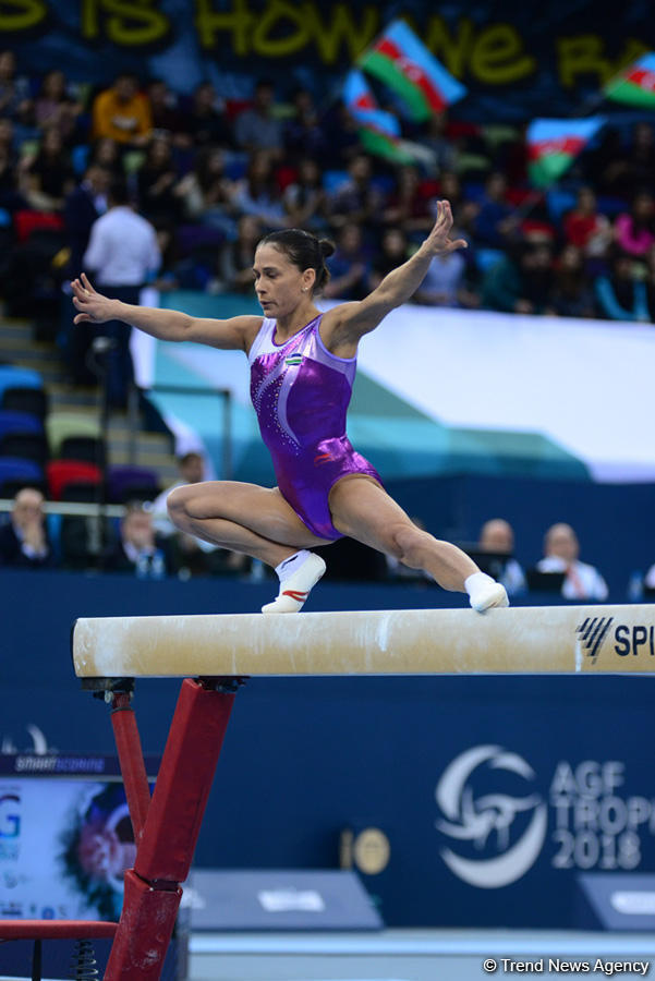 Finalists of pommel horse exercises at FIG Artistic Gymnastics World Cup 2018 in Baku revealed